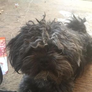 Meet your Posher, Tami